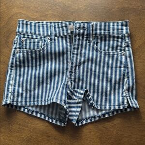 American Eagle Outfitters Blue and White Striped Shorts
